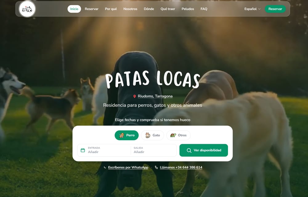 Tu propia web